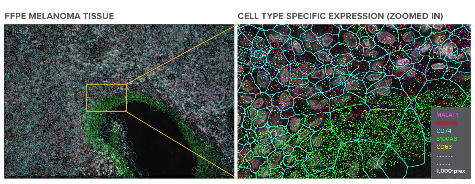 cosmx-smi-overview-single-cell-imaging-nanostring