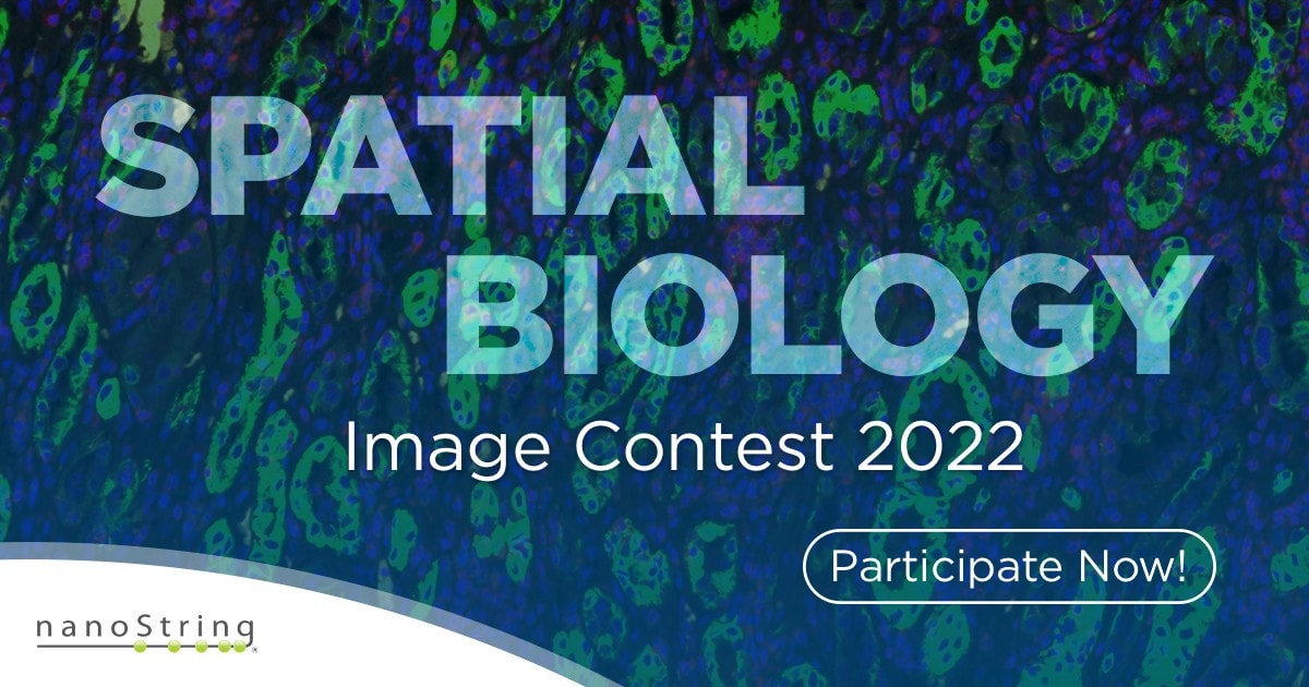 Spatial Biology Image Contest 2022 NanoString