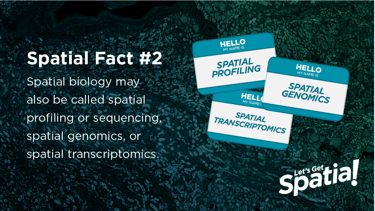 An Introduction to Spatial Biology and Spatial Profiling NanoString