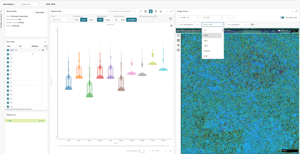 Visualize your spatial data while carefully extracting transcript-level insights directly from your tissue sample - AtoMx Spatial Informatics Platform