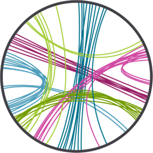 Biomarker Discovery