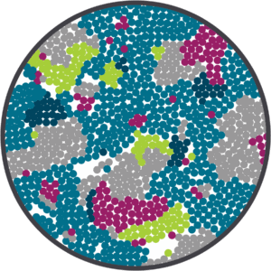 Cell Atlasing/Cell Typing