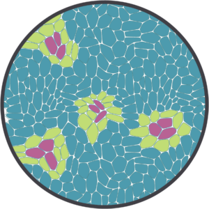 Tissue Microenvironment