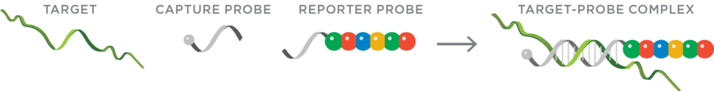 nCounter Pro Analysis System DNA barcoding process