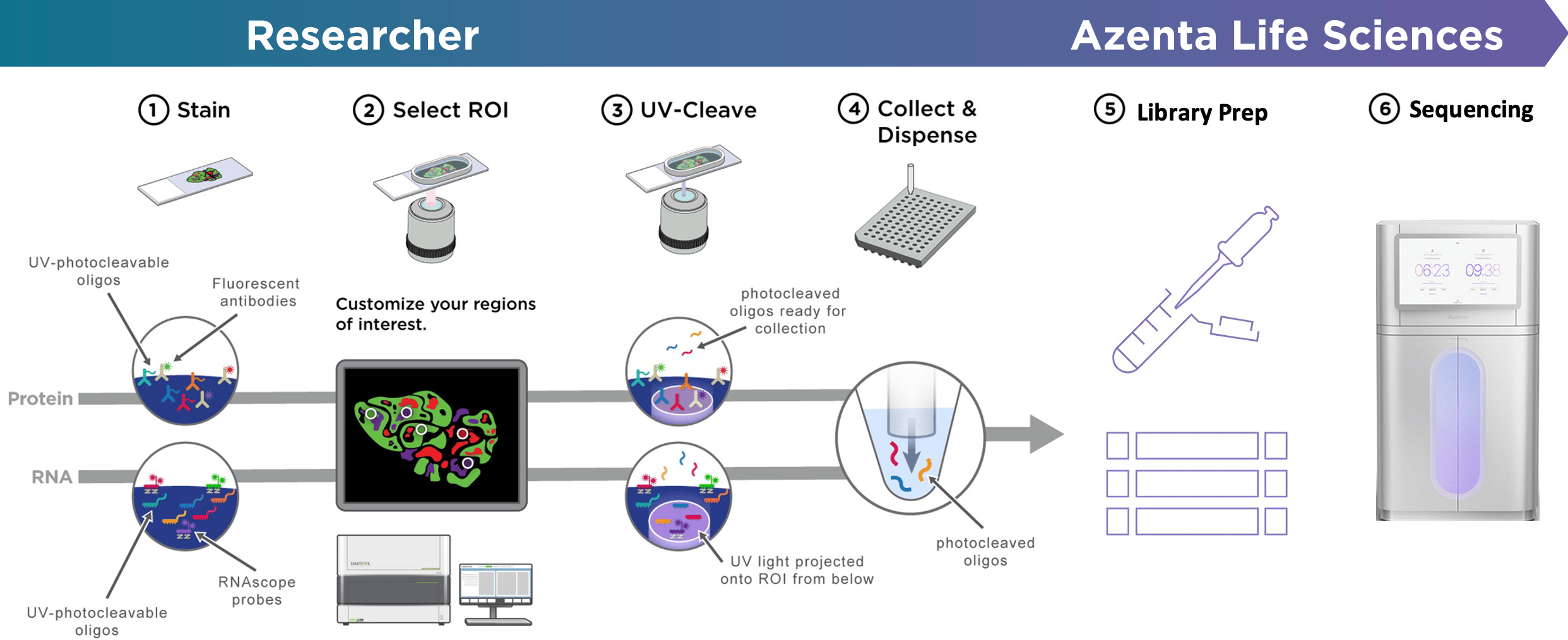 Azenta Life Sciences Partnership | NanoString