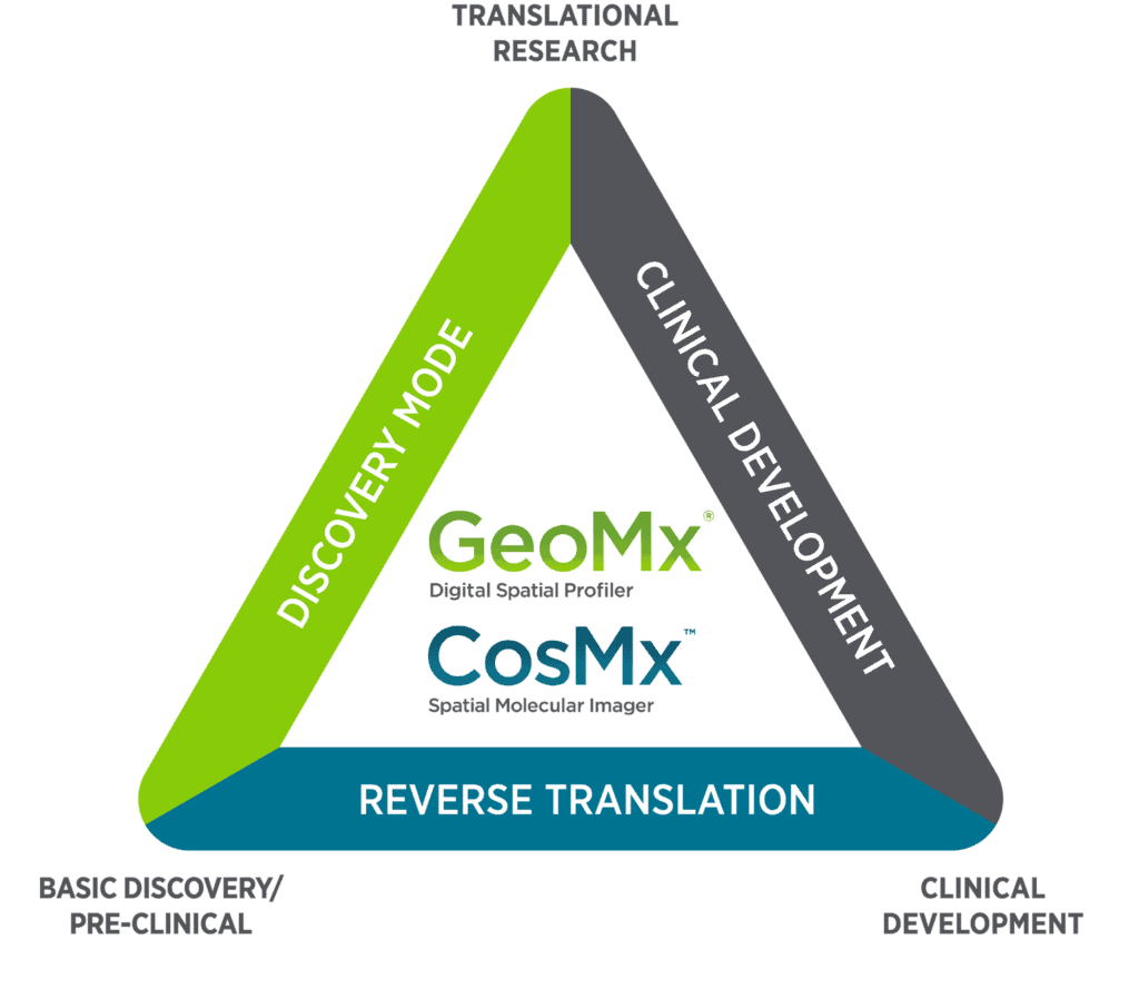 Triangular diagram illustrating biomarker discovery and drug development process