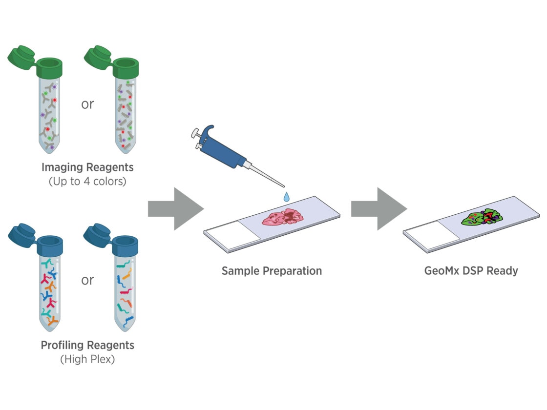 Illutration of reagents -> sample prep -> GeoMx DSP ready