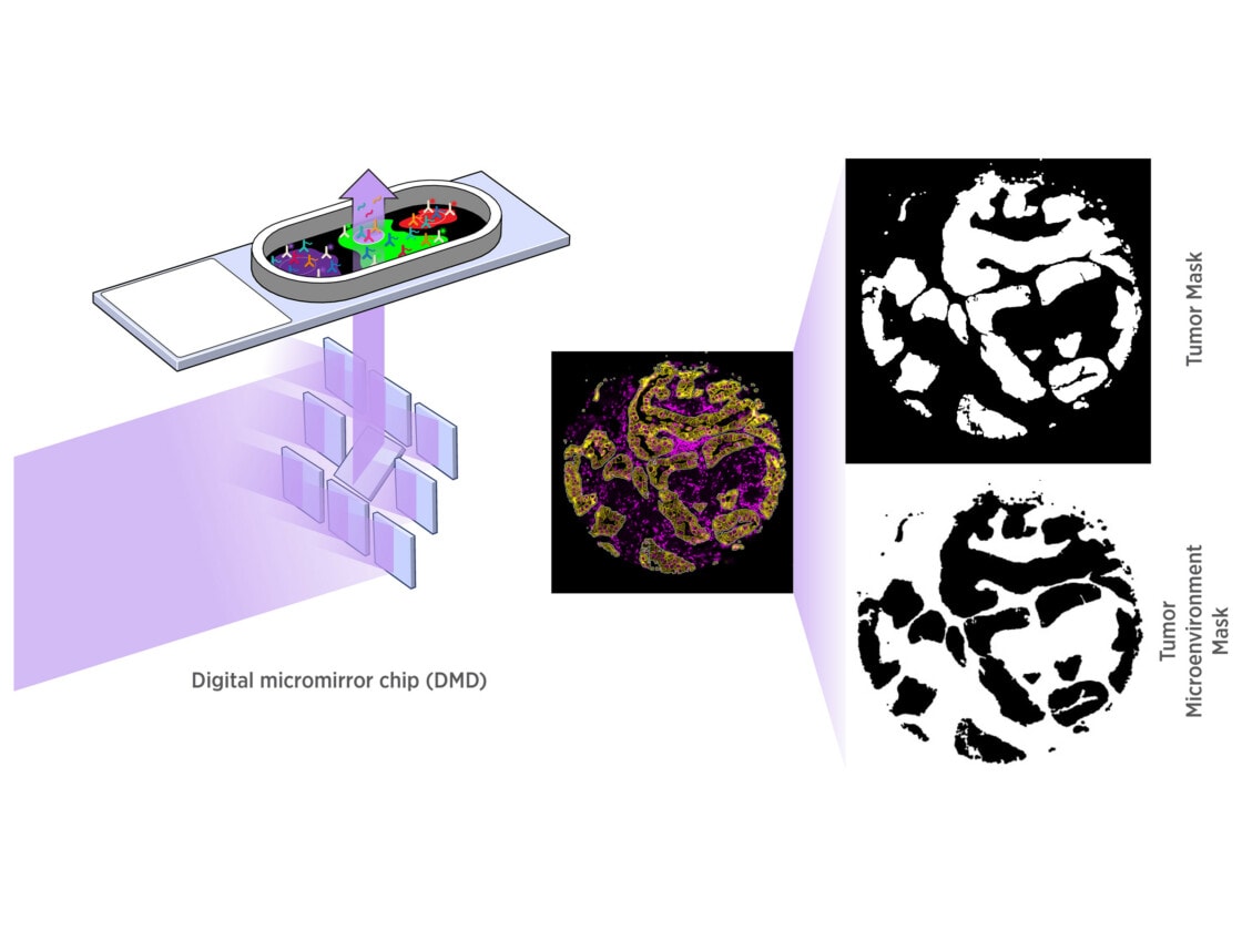 Illustration of GeoMx DSP digital microchip mirror