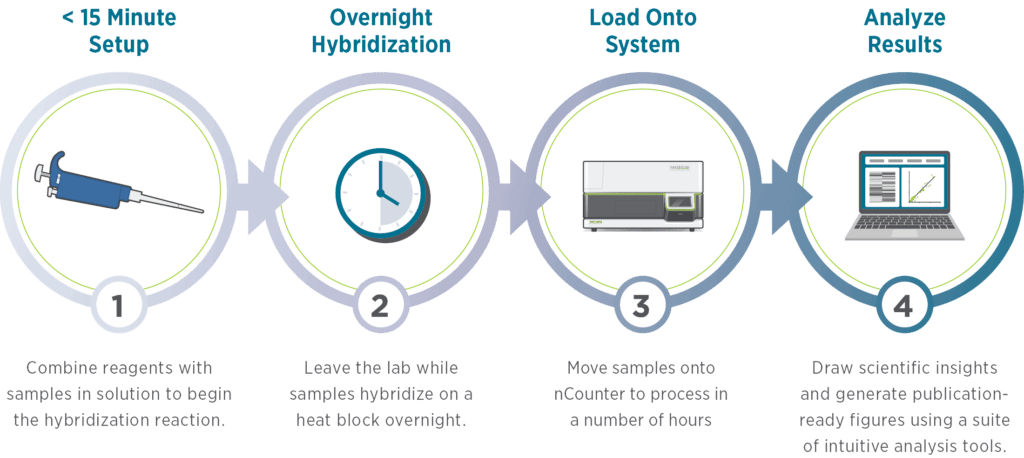 The four-step nCounter workflow: Setup, Hybridization, Load, Analyze