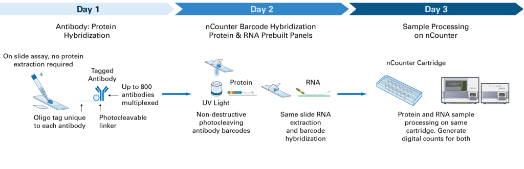 Bulk Multiomics Workflow