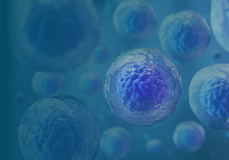 Stem Cells and Regenerative Medicine 