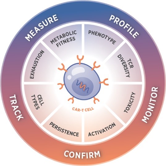 CAR-T cell technology was critical in advancing Research in Cancer Biology