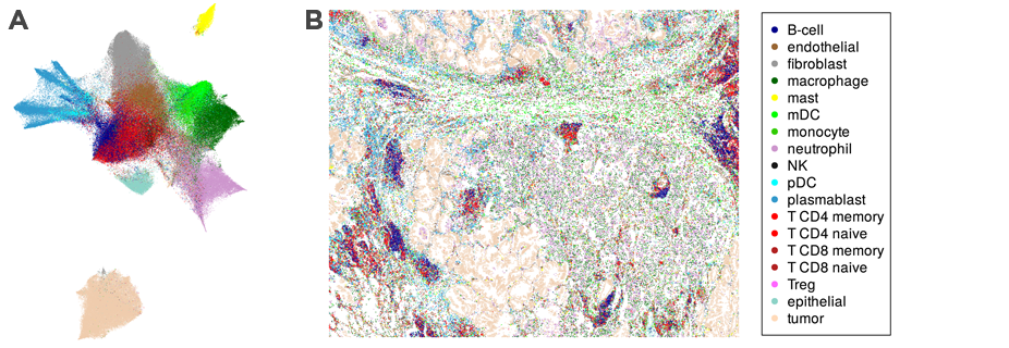 Mapping FFPE sections is easy with the spatial molecular imager