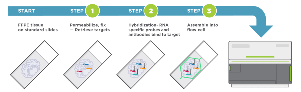 The molecular spatial imager streamlines and simplifies workflow  