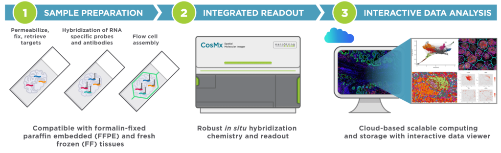 Diagram showing how CosMx SMI for single-cell imaging delivers a comprehensive package from sample preparation to interactive data analysis.