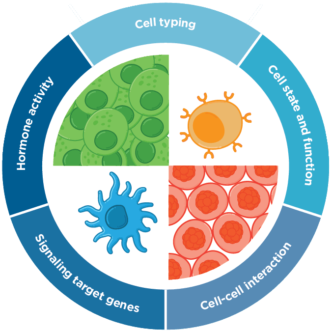 CosMx SMI Overview SingleCell Imaging NanoString