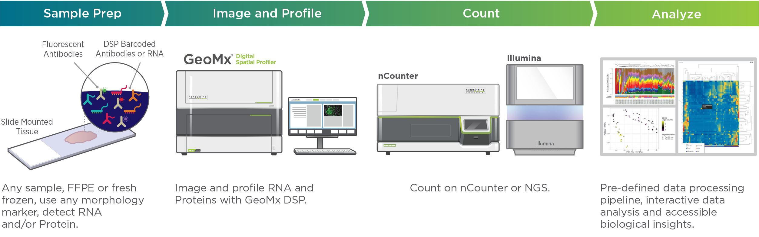 GeoMx DSP workflow