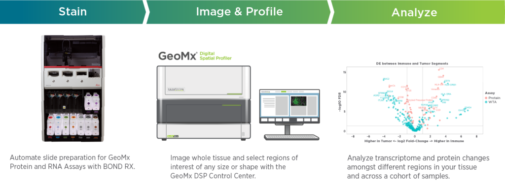 Automate GeoMx DSP slide preparation with Leica Bond RX