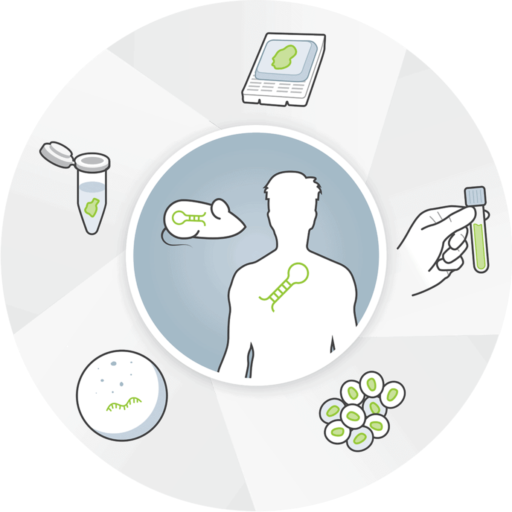 miRNA Expression Panels for nCounter®