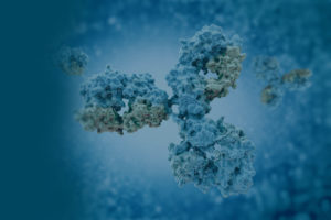 Immunology rendering