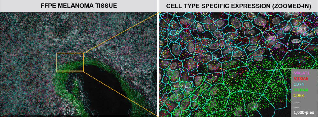 Singapore CosMx™ Spatial Molecular Imager Grant | NanoString