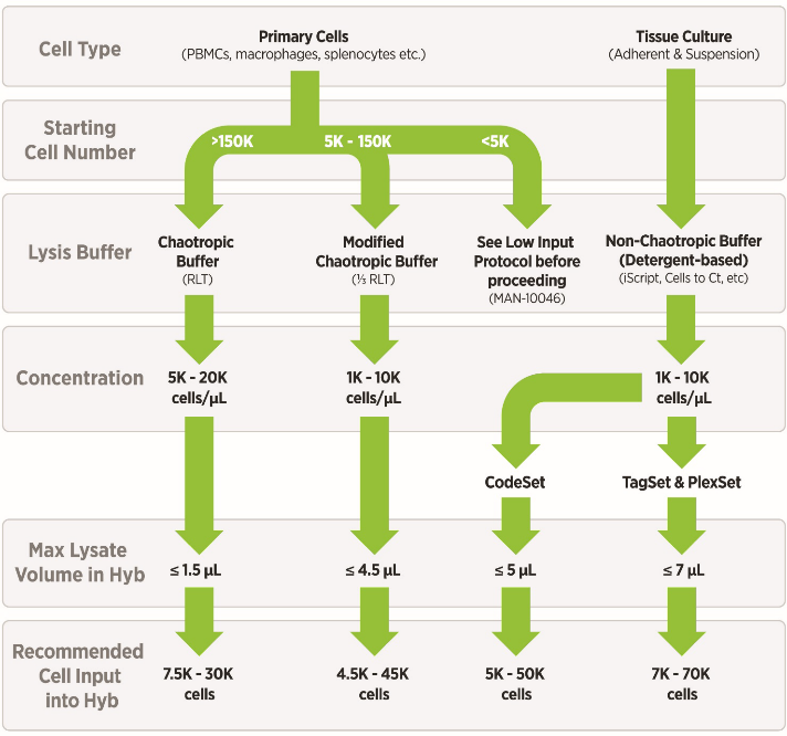 DNA sample analysis times dramatically reduced thanks to new file format