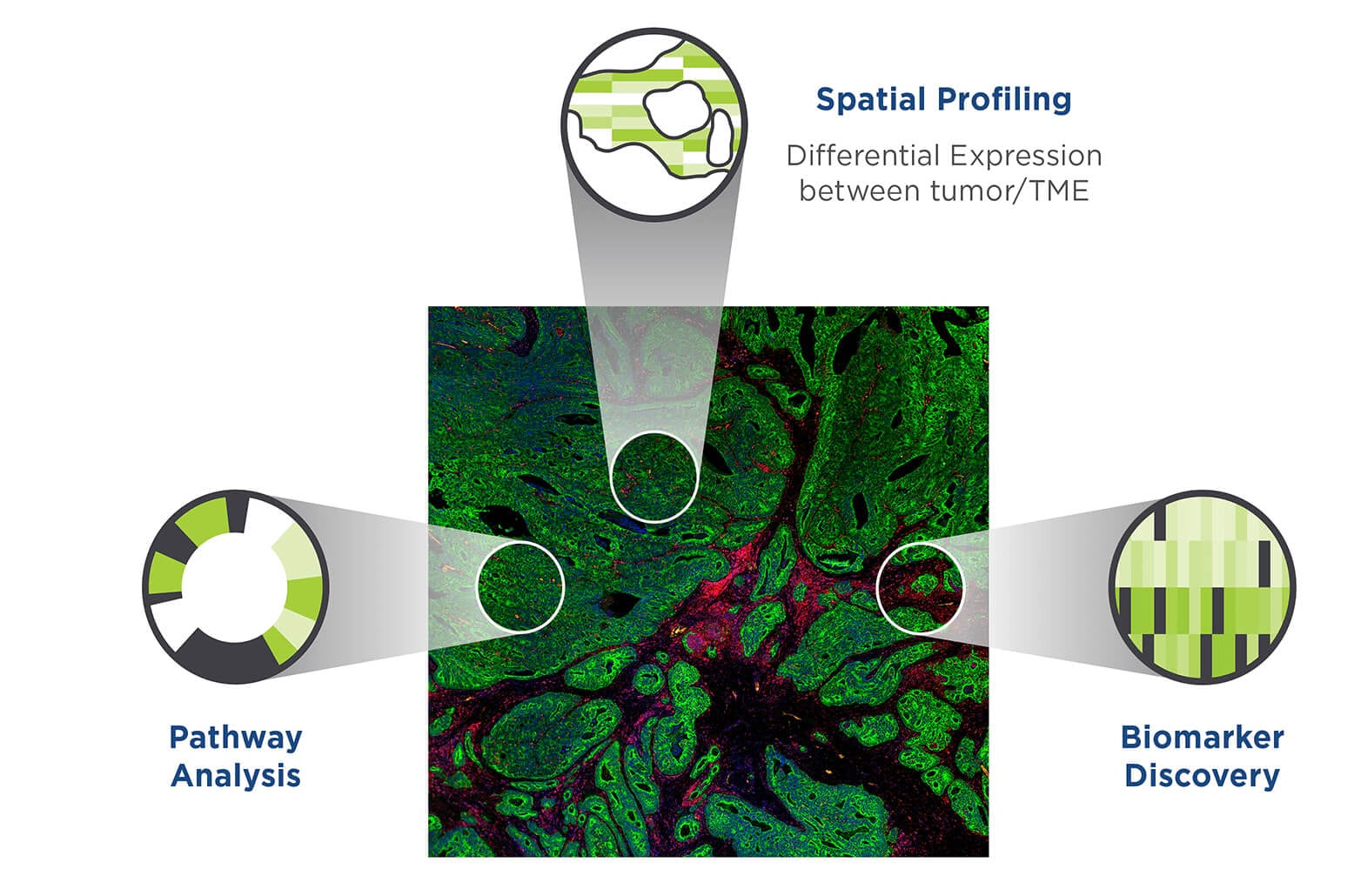 Three components to imaging