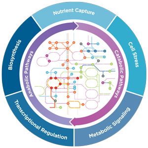 biochemistry pathways