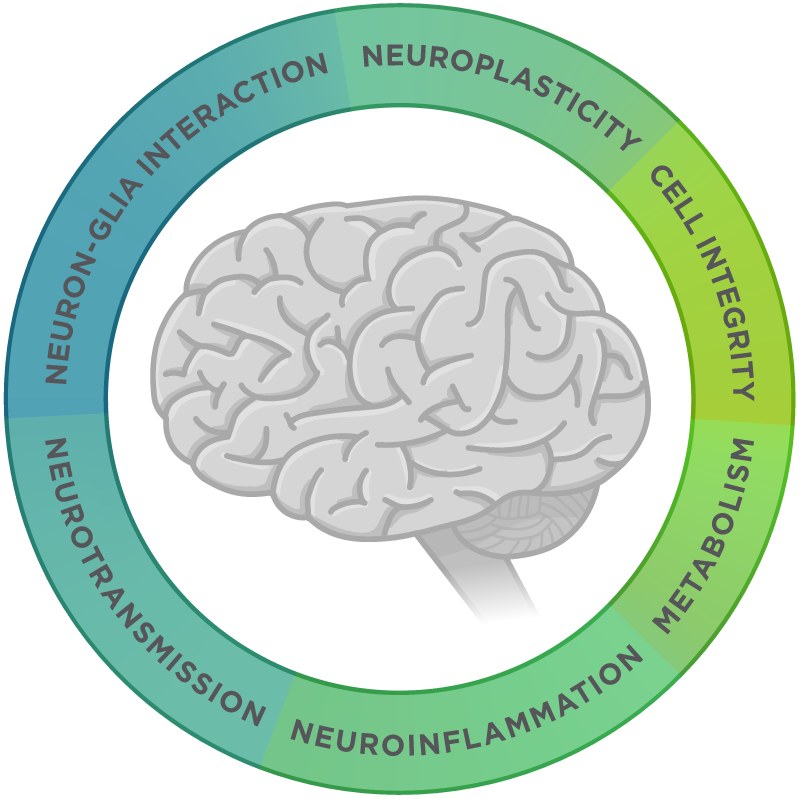 Neuropathology Panel is an ideal tool to study all aspects of Alzheimer’s Disease