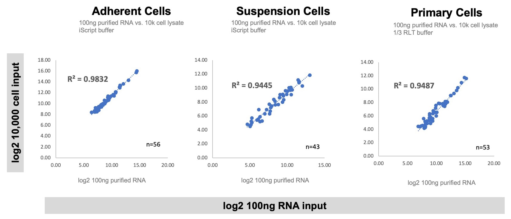 Adherent cells, suspension cells, and primary cells