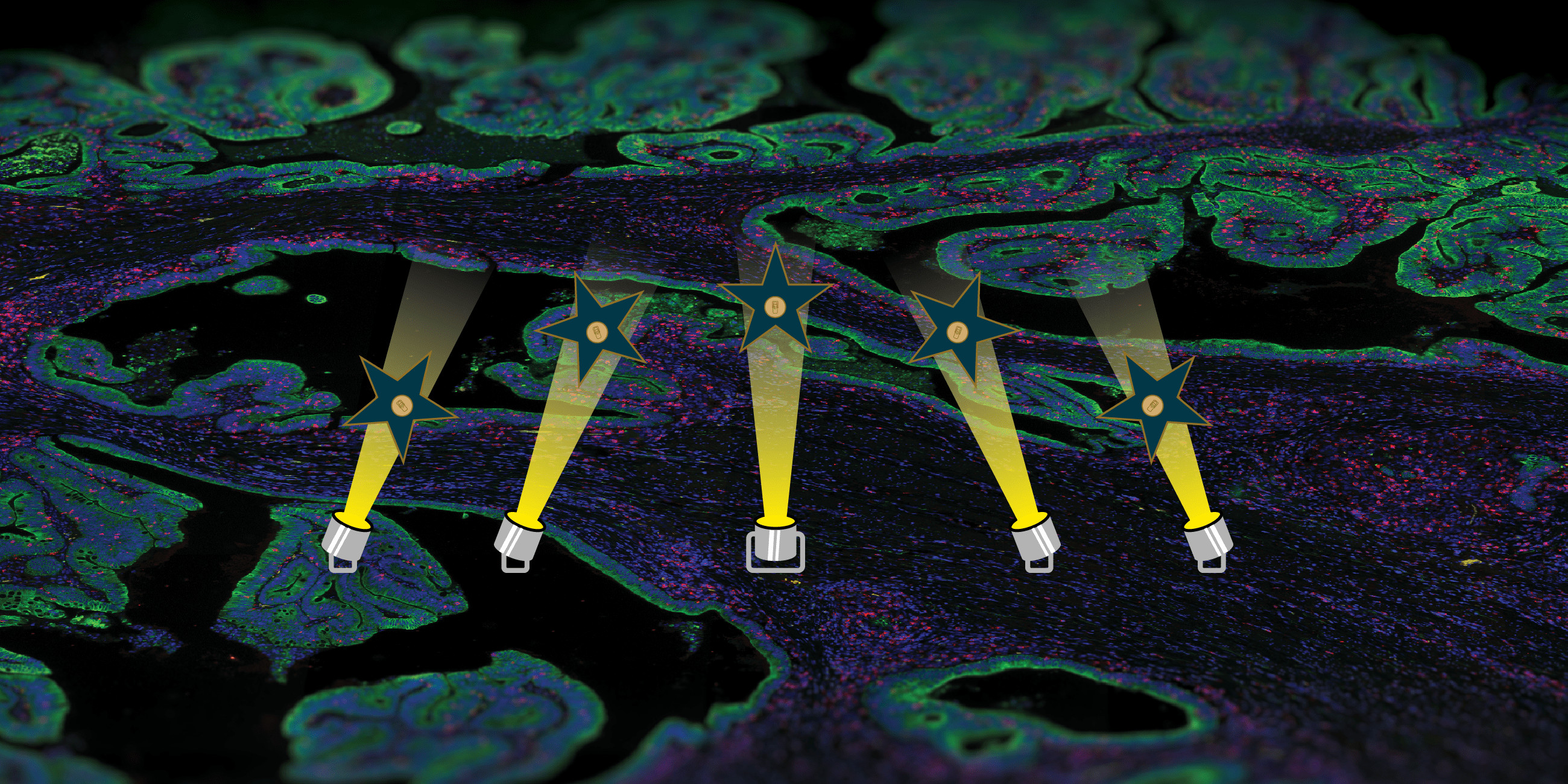 stars and lights over a tissue sample