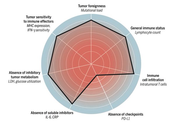 Graphic of the Cancer Immunogram