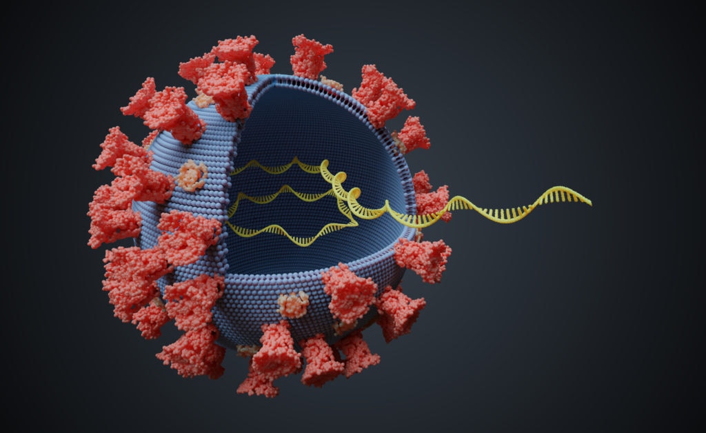 Virus with RNA molecule inside. Viral genetics concept. 