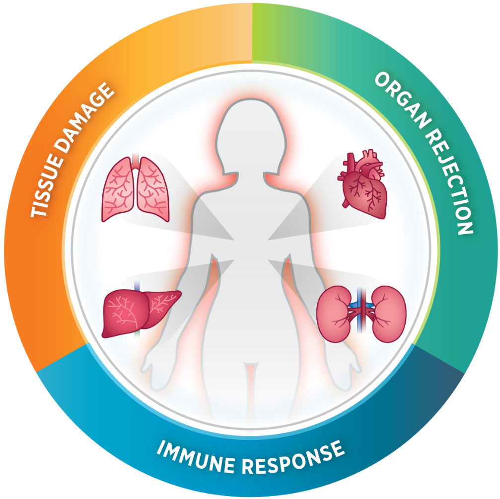 nCounter Human Organ Transplant Panel