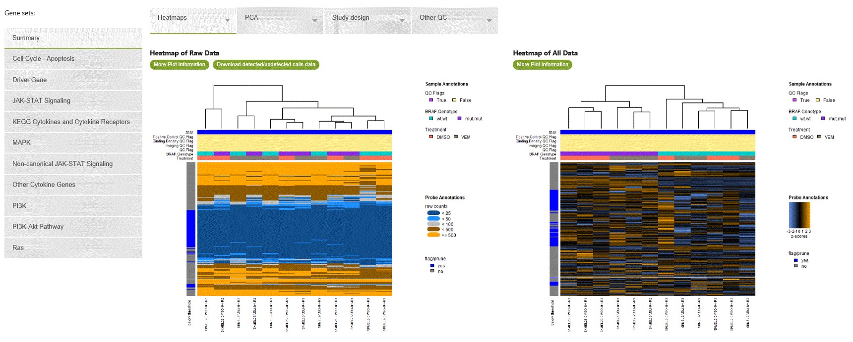 nsolver qualitative analysis: powerful visualization