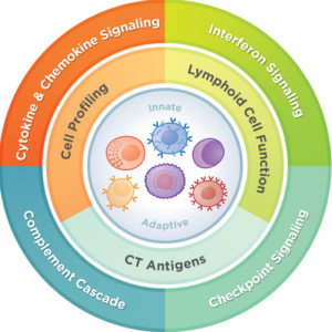 Pancancer immune profiling product area