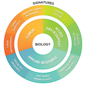 Wheel showing the relationship between Biology and Signatures