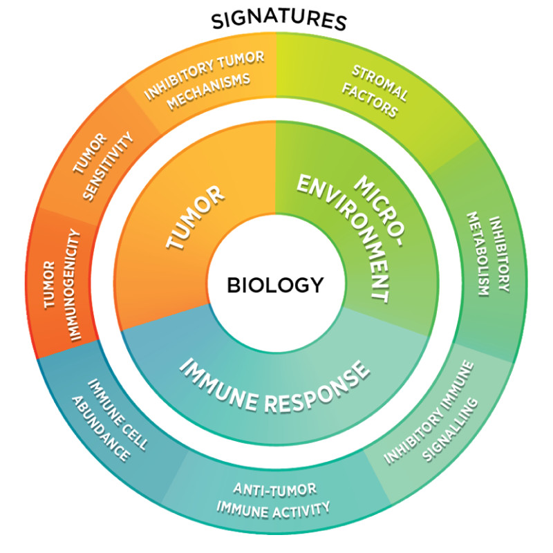 Biology and signatures