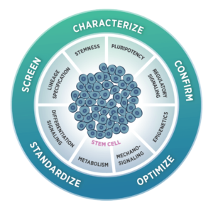 NanoString Stem Cells Panel