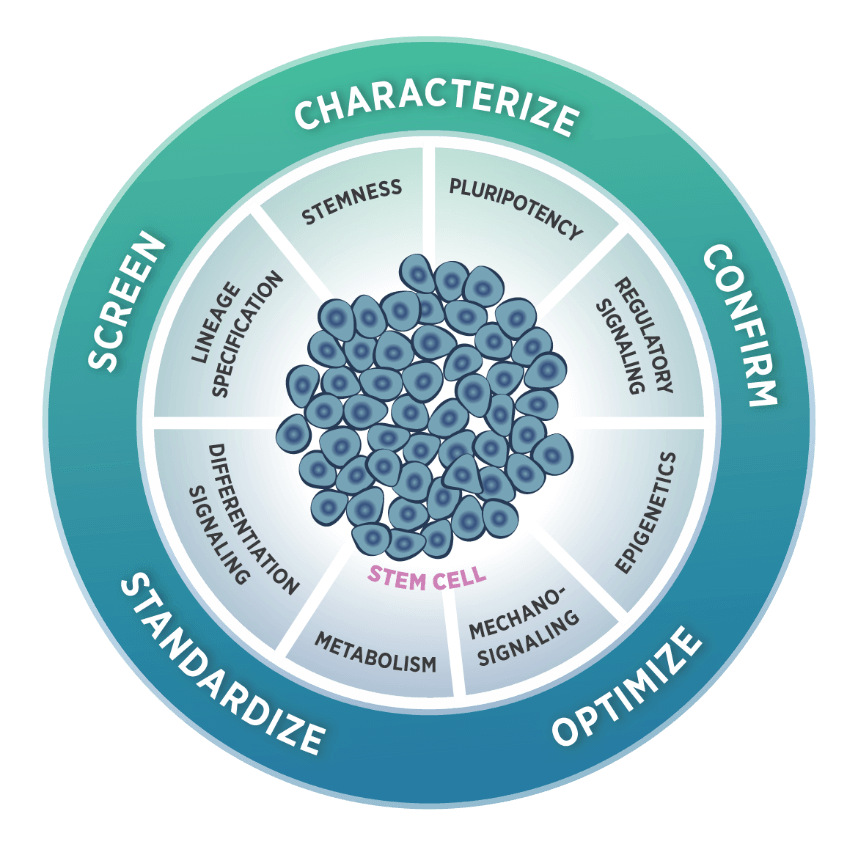 https://nanostring.com/wp-content/uploads/stem-cell-characterization-panel.png