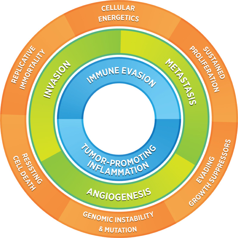 tumor promotion inflammation illustration